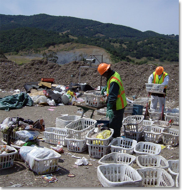 Workers Sorting Waste on Site - CalGreen
